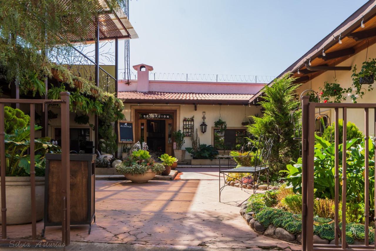 Acanthus Boutique Hotel Quetzaltenango Kültér fotó